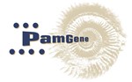 PAMGENE.jpg